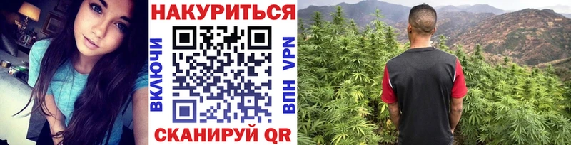 Шишки марихуана White Widow где найти наркотики Заволжье